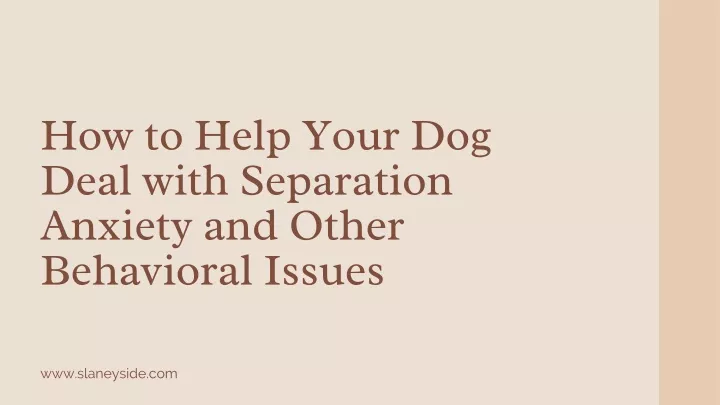 how to help your dog deal with separation anxiety