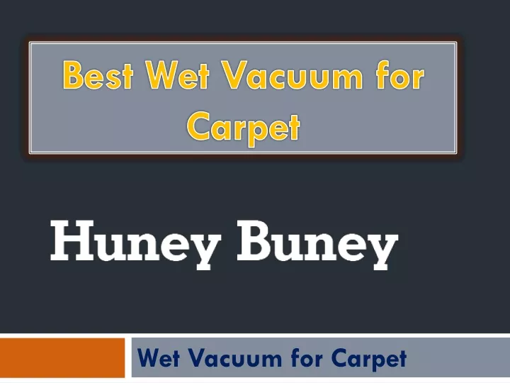 best wet vacuum for carpet