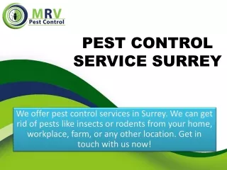 Pest control service surrey