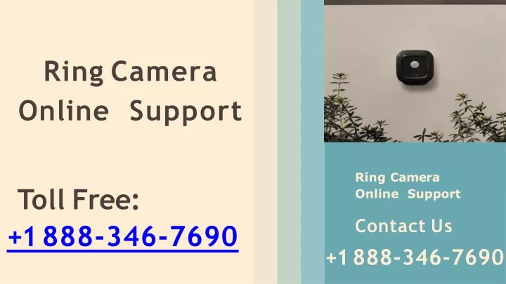 ring camera online support