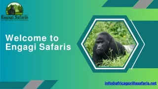 Gorilla Trekking with Engagi Safaris