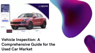 Vehicle Inspection A Comprehensive Guide for the Used Car Market