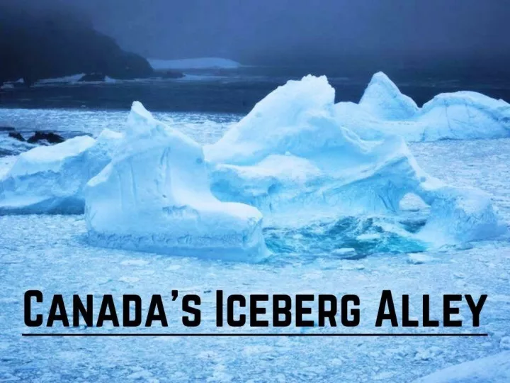 canada s iceberg alley