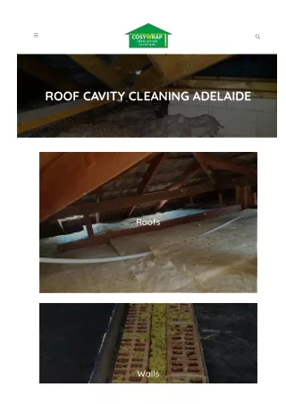 Roof Cavity Cleaning Adelaide