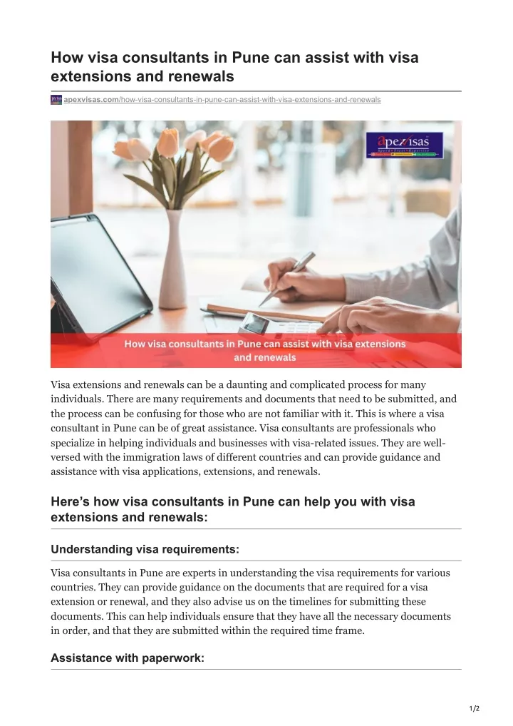 how visa consultants in pune can assist with visa