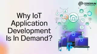 Why IoT Application Development Is In Demand?