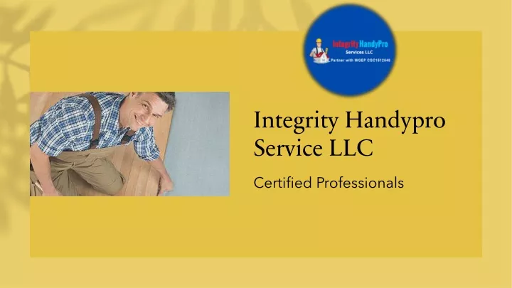 integrity handypro service llc