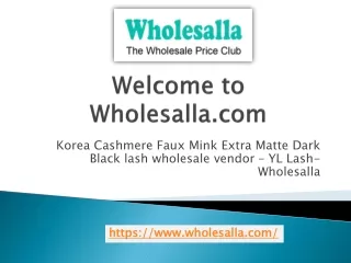 Best Beginner Lashes - Wholesalla LLC