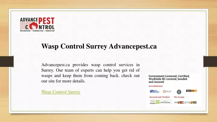 wasp control surrey advancepest ca