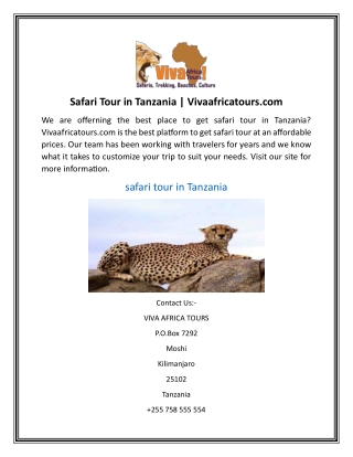 Safari Tour in Tanzania Vivaafricatours.com