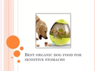Best organic dog food for sensitive stomachs