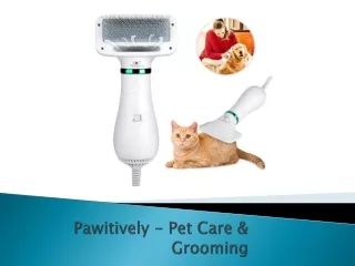 Pawitively - Pet Care & Grooming