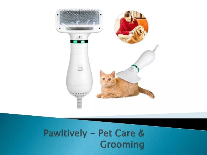 pawitively pet care grooming