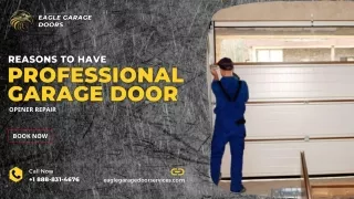 Reasons to Have Professional Garage Door Opener Repair in Beltsville MD