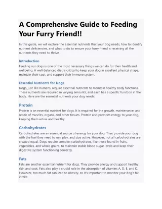 A Comprehensive Guide to Feeding Your Furry Friend!!
