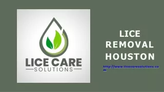 Lice Removal Houston