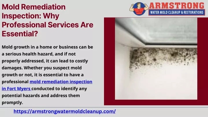 mold remediation inspection why professional