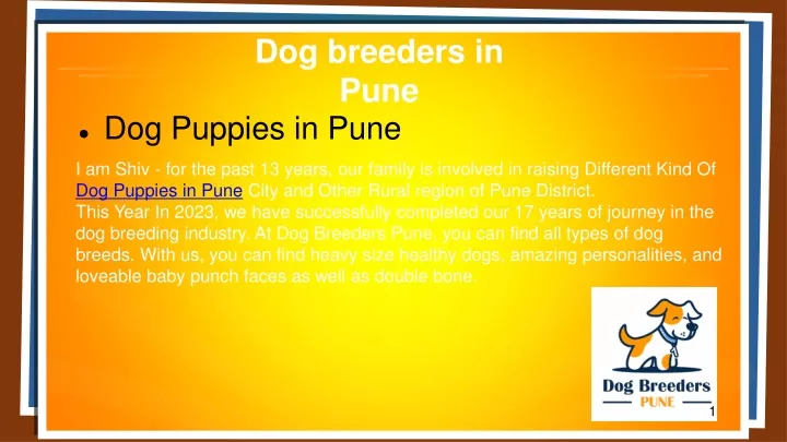 dog breeders in pune