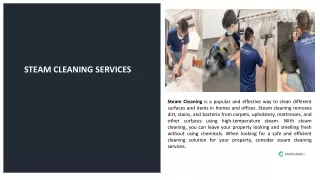 Get The Professional Steam Cleaning Services In Singapore
