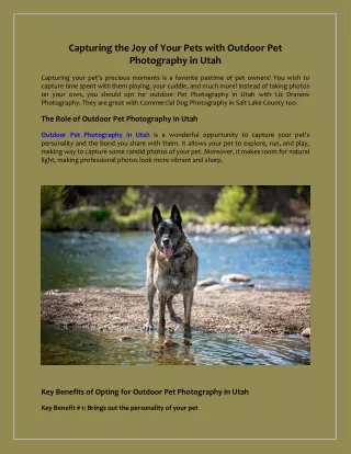 Capturing the Joy of Your Pets with Outdoor Pet Photography in Utah