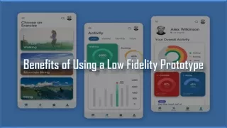 benefits of using a low fidelity prototype