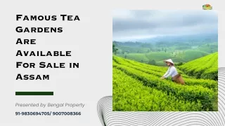 Famous Tea Gardens Are Available For Sale in Assam