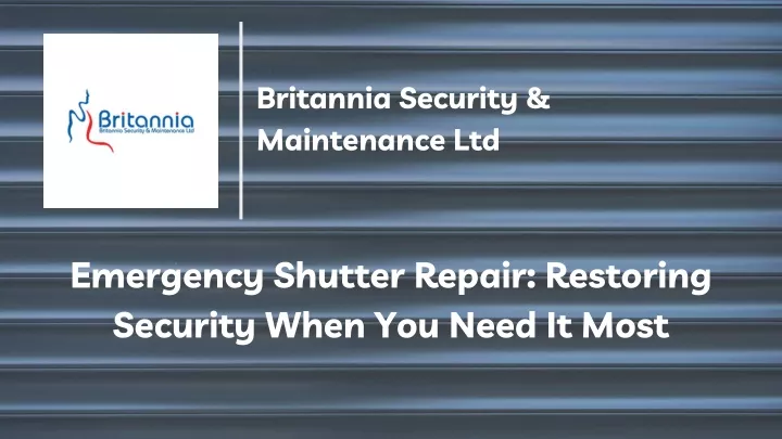 britannia security maintenance ltd