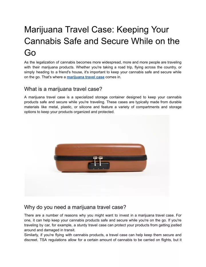 marijuana travel case keeping your cannabis safe