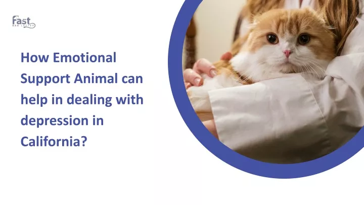 how emotional support animal can help in dealing