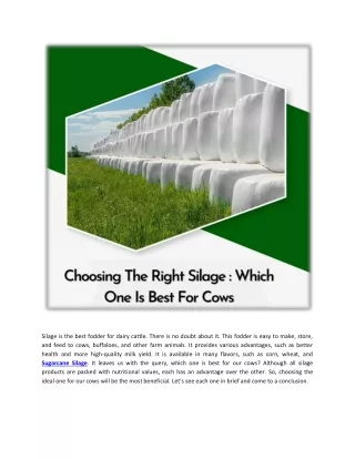 choosing the right silage_ which one is best for cows