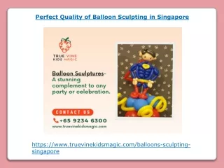 Perfect Quality of Balloon Sculpting in Singapore