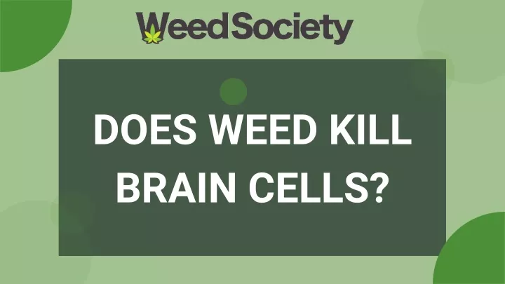 does weed kill brain cells