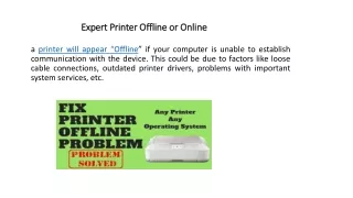 Expert Printer Offline or Online