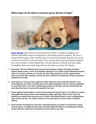 what steps can be taken to prevent parvo disease