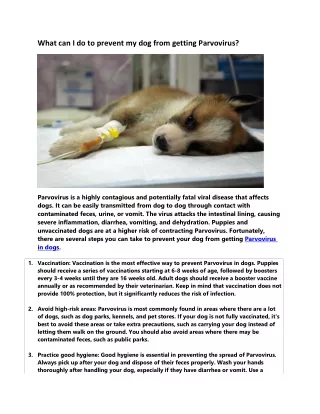 what can i do to prevent my dog from getting