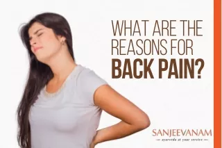 What are the reasons for Back Pain?