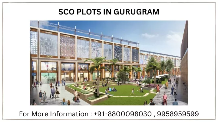 sco plots in gurugram