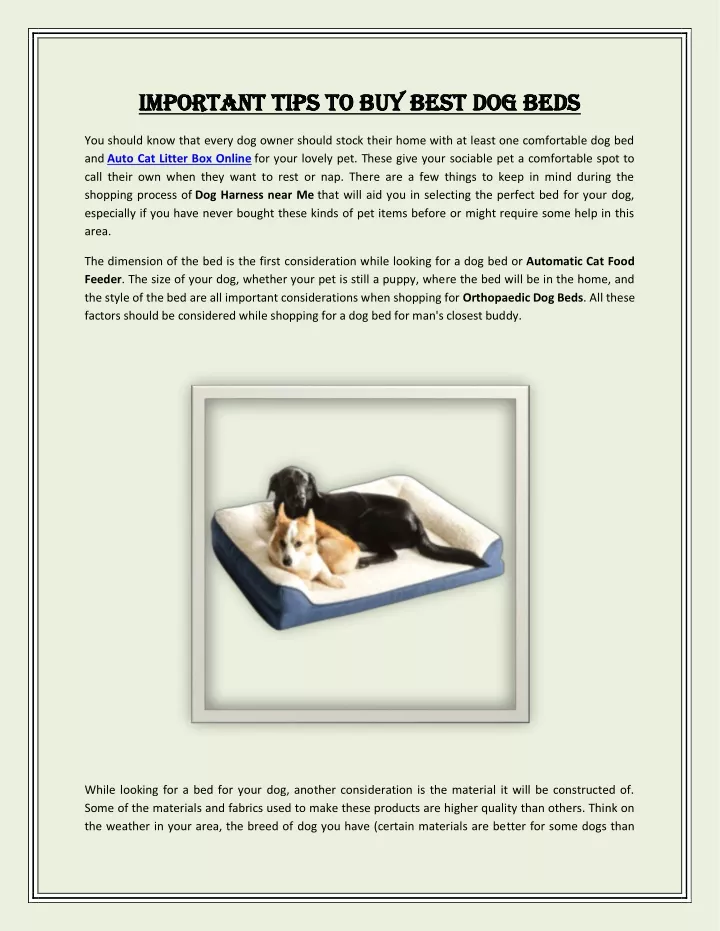 important tips to buy best dog beds important