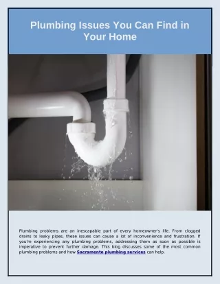 Plumbing Issues You Can Find in Your Home