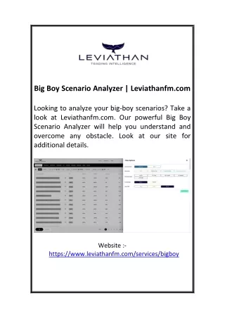 Big Boy Scenario Analyzer | Leviathanfm.com