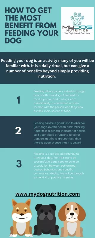 How To Get The Most Benefit From Feeding Your Dog