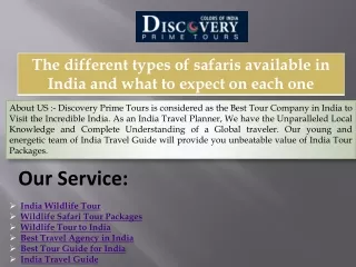 The different types of safaris available in India and what to expect on each one