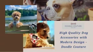 High Quality Dog Accessories with Modern Design - Doodle Couture