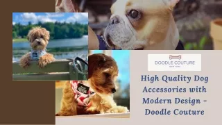 High Quality Dog Accessories with Modern Design - Doodle Couture