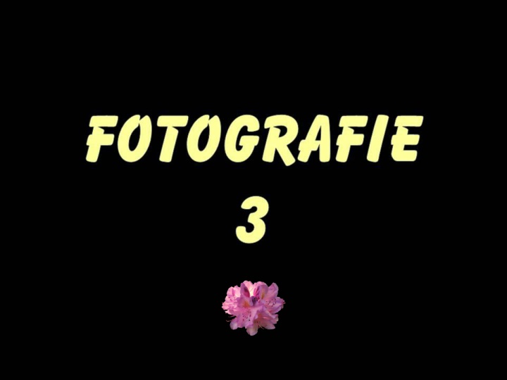 fotografie 3