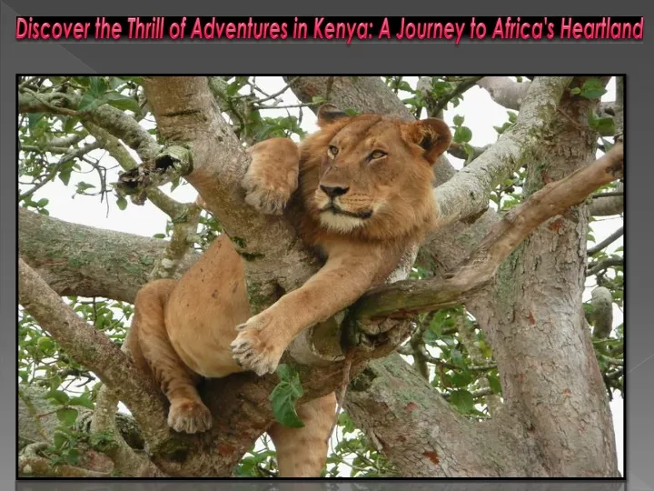discover the thrill of adventures in kenya