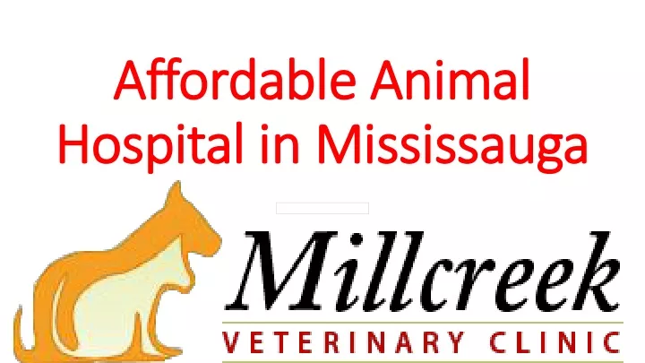 affordable animal hospital in mississauga