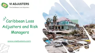 Loss Adjusters and Risk Managers in Caribbean | VI Adjusters