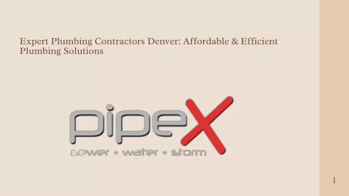 expert plumbing contractors denver affordable