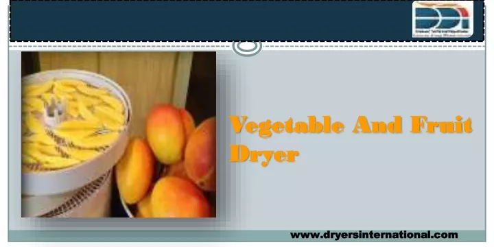 vegetable and fruit vegetable and fruit dryer
